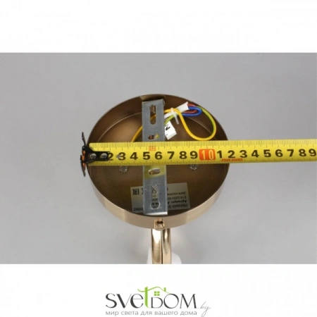 Настенные светильники APL.744.01.01 Aployt | Svetdom.by