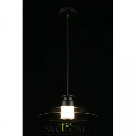 Подвесные светильники Aployt APL.648.06.10 от Магазина Svetdom.by