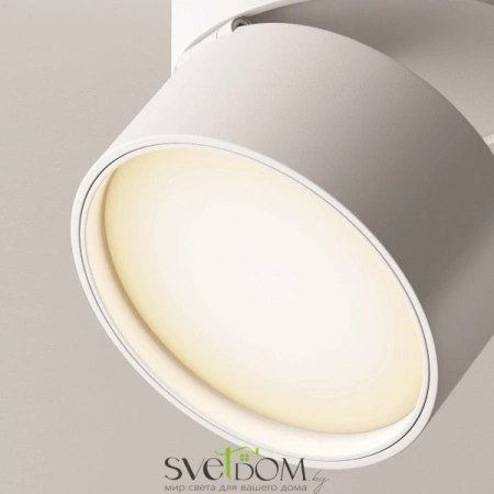 Потолочные светильники Maytoni C024CL-L12W3K от Магазина Svetdom.by