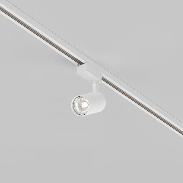 TR003-1-6W4K-S-W Maytoni