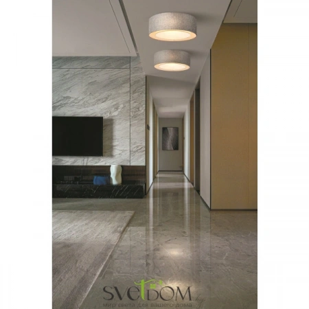 Потолочные светильники Maytoni MOD613CL-04GR от Магазина Svetdom.by