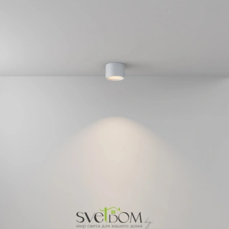 Потолочные светильники Maytoni C090CL-10W3K-W от Магазина Svetdom.by