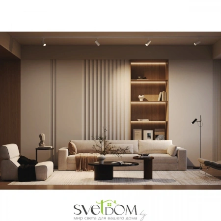 TR197-3-12WCCT-M-B Maytoni