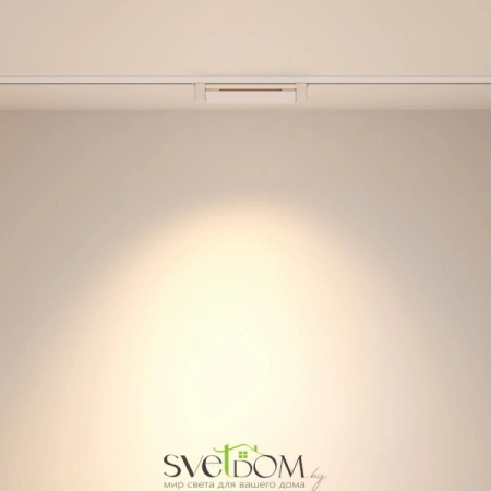 TR010-1-10W4K-M-W Maytoni