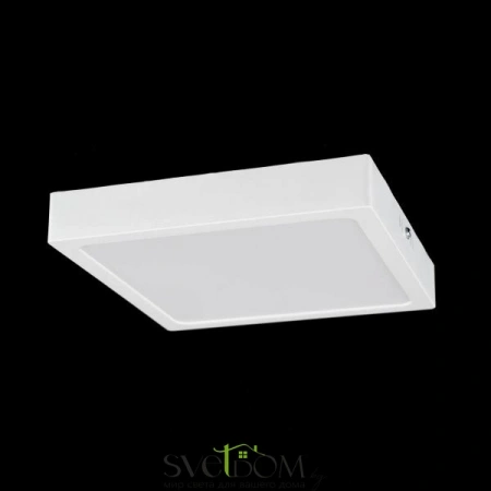 Накладные светильники CITILUX CL55K22N от Магазина Svetdom.by