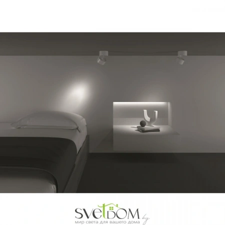 Потолочные светильники Maytoni C084CL-15W4K-W от Магазина Svetdom.by