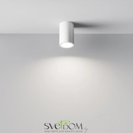 Потолочные светильники Maytoni C003CW-01W от Магазина Svetdom.by