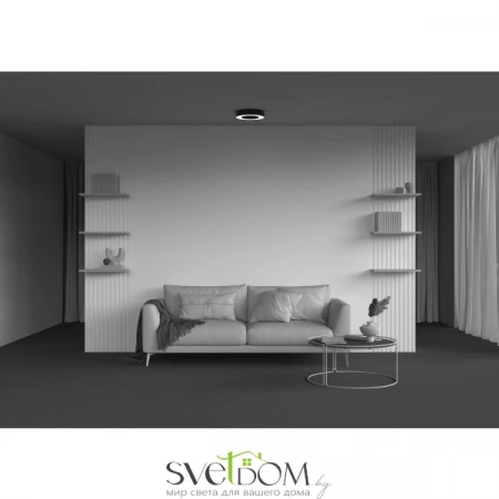 Потолочные светильники Maytoni C093CL-24W3K-B от Магазина Svetdom.by