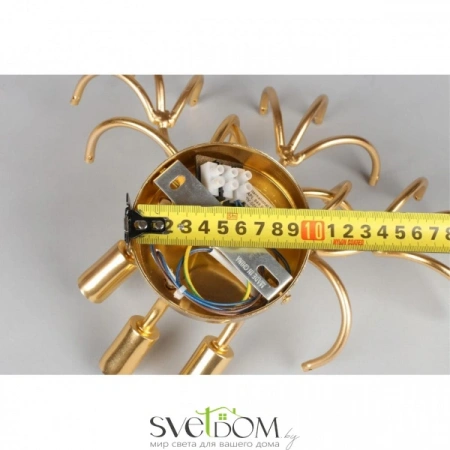 Бра APL.849.01.03 Aployt | Svetdom.by