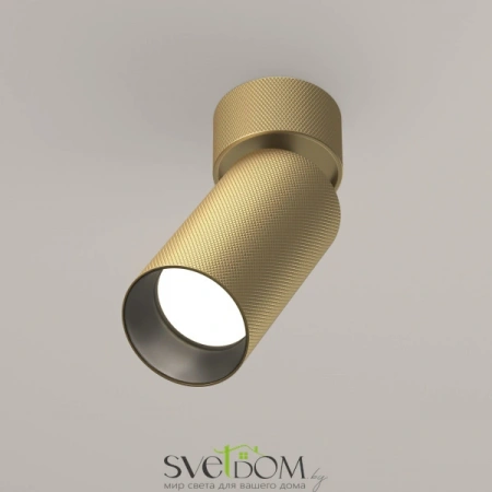 Потолочные светильники Maytoni C082CL-01-GU10-MG от Магазина Svetdom.by