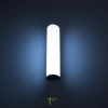 Citilux CLU0007 LED Уличный светильник Графит CITILUX