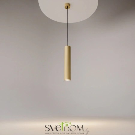 Подвесные светильники Maytoni P082PL-GU10-MG от Магазина Svetdom.by