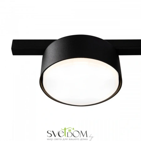 Потолочные светильники Freya FR5363CL-01B от Магазина Svetdom.by