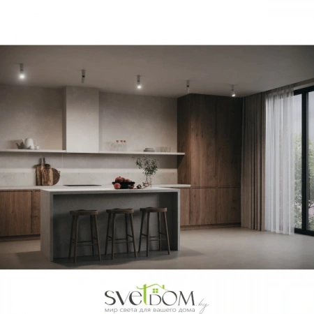 Потолочные светильники Maytoni C051CL-01W от Магазина Svetdom.by