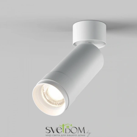 Потолочные светильники Maytoni C055CL-L12W4K-Z-W от Магазина Svetdom.by