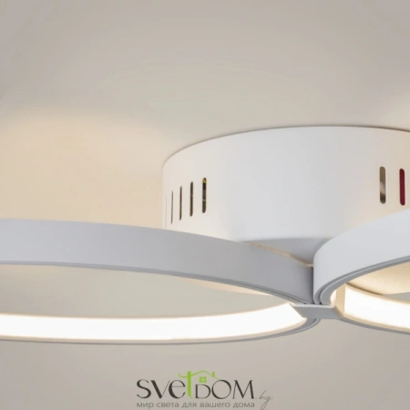 Потолочные светильники Maytoni MOD448CL-L40WK от Магазина Svetdom.by