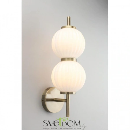 Настенные светильники APL.608.01.02 Aployt | Svetdom.by