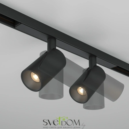 Трековый светильник Technical TR176-1-2X5WTW-M-B Maytoni