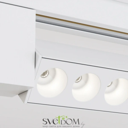 TR010-1-20W4K-M-W Maytoni