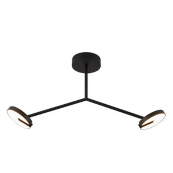 Люстры потолочные4401-2C Favourite | Svetdom.by