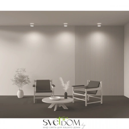 Потолочные светильники Maytoni C009CW-L16W от Магазина Svetdom.by