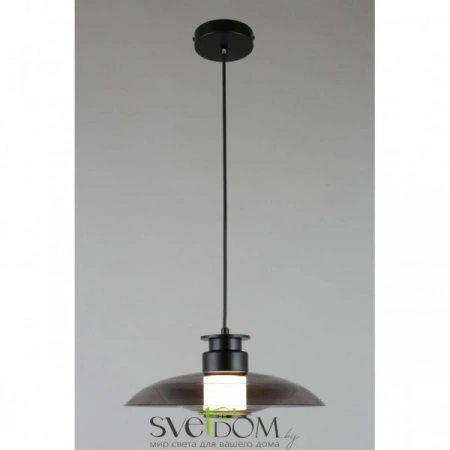Подвесные светильники Aployt APL.648.06.10 от Магазина Svetdom.by