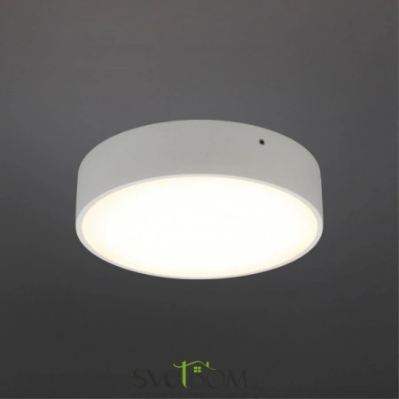 Настенно-потолочные светильники Aployt APL.0113.09.18 от Магазина Svetdom.by