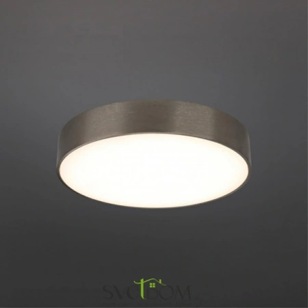 Настенно-потолочные светильники Aployt APL.0114.19.24 от Магазина Svetdom.by