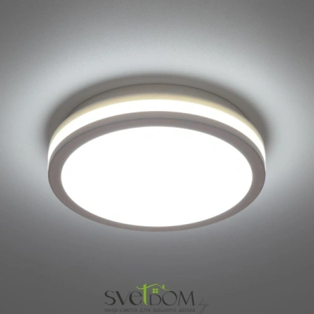 Citilux LUNS CL711010V LED Светильник влагозащищённый Белый CITILUX