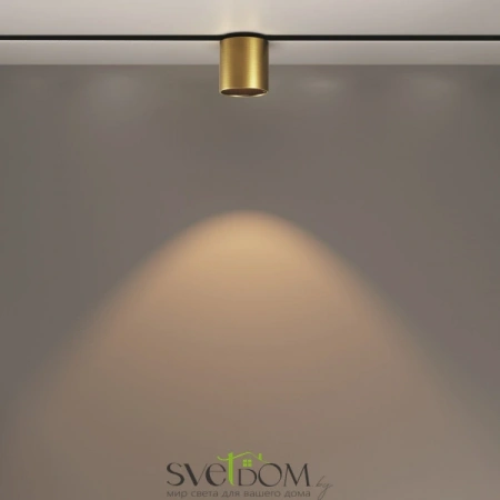 TR132-2-7W3K-BS Maytoni