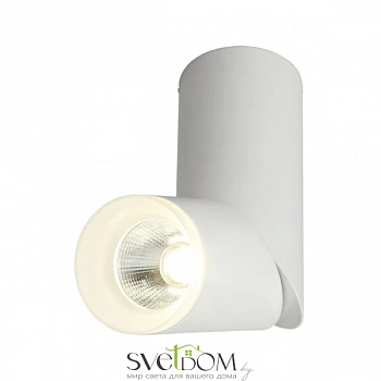 Светильник встраиваемый-накладной Omnilux  OML-100209-10