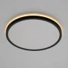 Накладной светильник Citilux NORMA CL748321 CITILUX