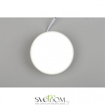 Настенно-потолочные светильники Aployt APL.0114.09.12 от Магазина Svetdom.by