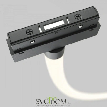 TR101-2-100W4K-B Maytoni