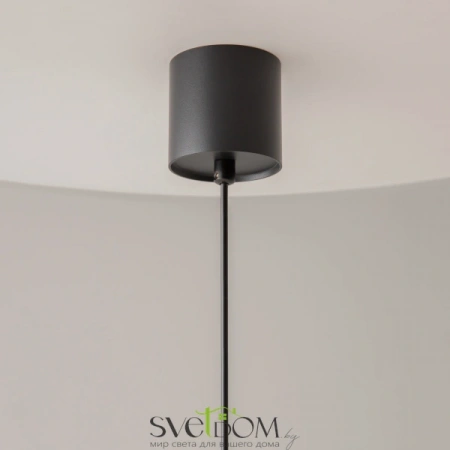 Подвесные светильники Maytoni P100PL-20W3K-B от Магазина Svetdom.by