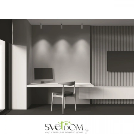 Потолочные светильники Maytoni C055CL-L12W4K-W-W от Магазина Svetdom.by