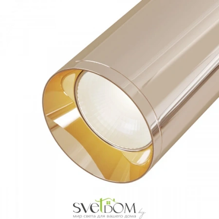 Потолочные светильники Maytoni C017CW-01RG от Магазина Svetdom.by