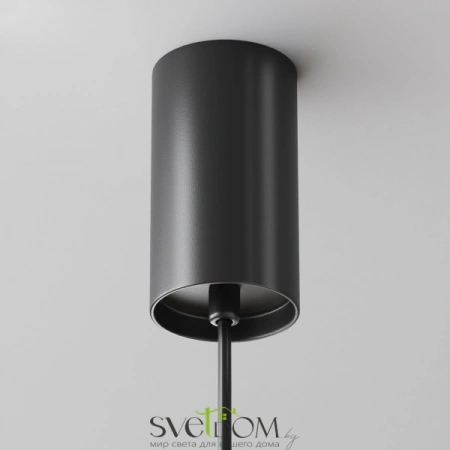 Подвесные светильники Maytoni P105PL-12W3K-B от Магазина Svetdom.by