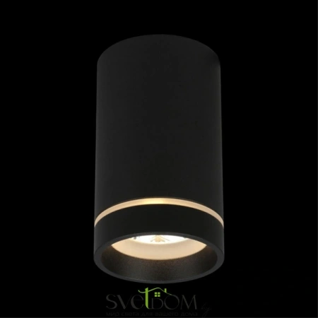 Накладные светильники Aployt APL.0053.19.10 от Магазина Svetdom.by