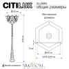 CLU09P3 CITILUX
