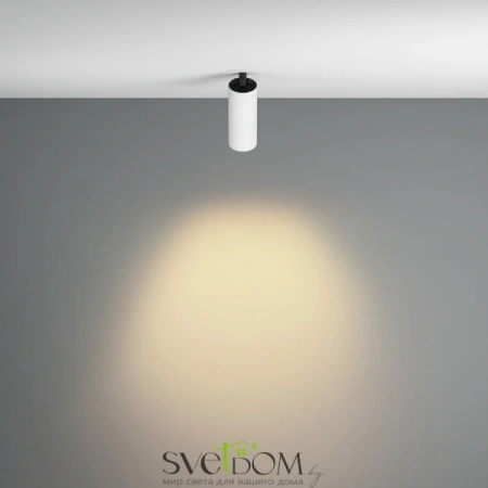 Встраиваемые светильники Maytoni C053CL-L12W2.7K-W-W от Магазина Svetdom.by