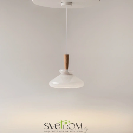 Подвесные светильники Maytoni MOD405PL-01W от Магазина Svetdom.by