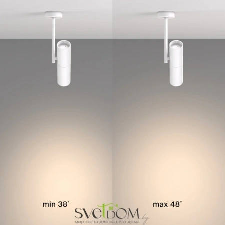 Потолочные светильники Maytoni C020CL-01W от Магазина Svetdom.by