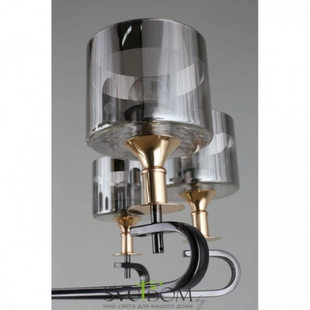 Люстры подвесныеOML-68703-08 Omnilux | Svetdom.by