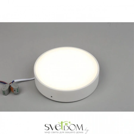 Настенно-потолочные светильники Aployt APL.0113.09.18 от Магазина Svetdom.by