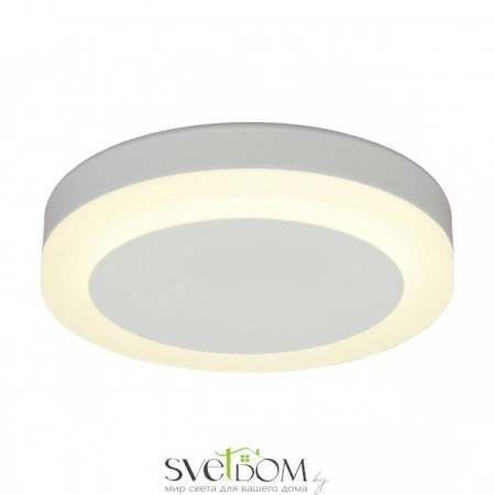 Накладные светильники Omnilux OML-102109-06 от Магазина Svetdom.by