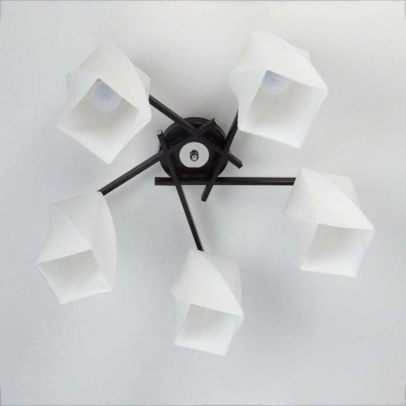 Люстры потолочныеCL135151 CITILUX | Svetdom.by