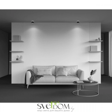 Потолочные светильники Maytoni C120CL-GX53-B от Магазина Svetdom.by