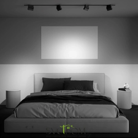 TR077-2-10W4K-B Maytoni