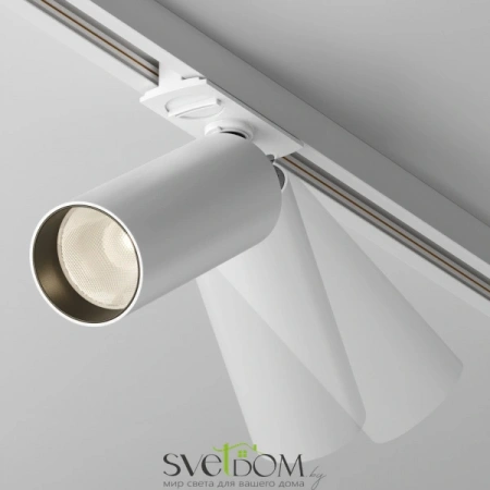 TR021-1-12W3K-W-D-W Maytoni